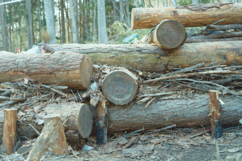 丸太と枝木の柵み構造
